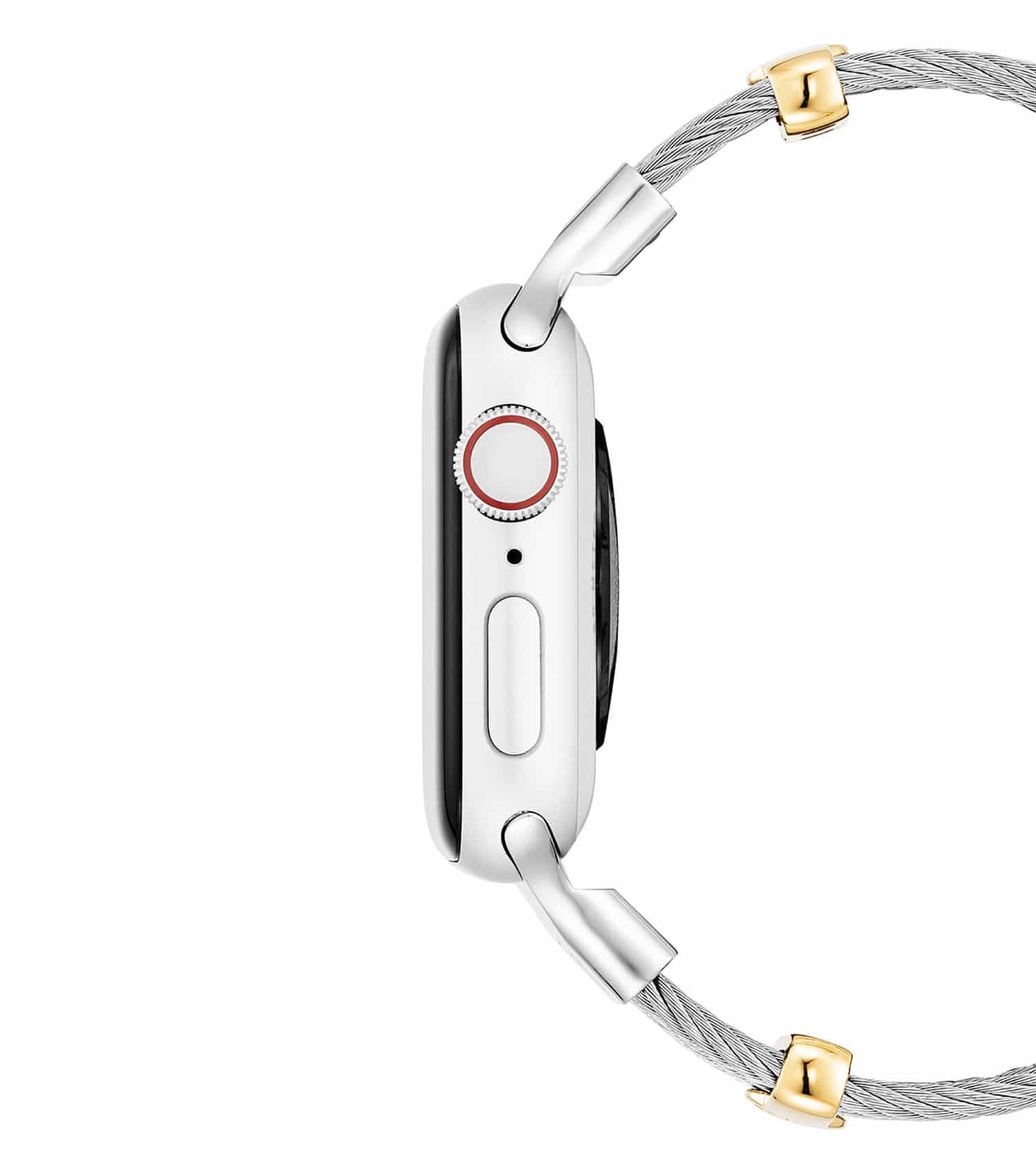 Watch band APPLE BRACELET Jewellery